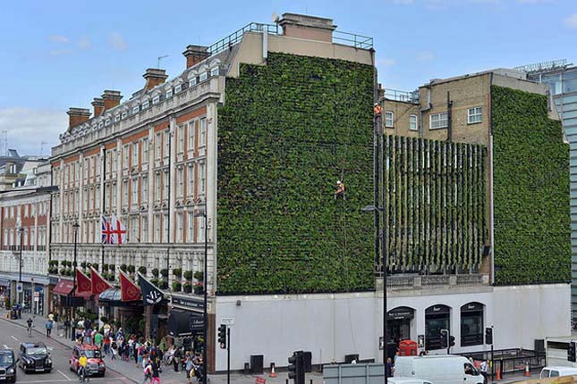 Londoni függőleges kert