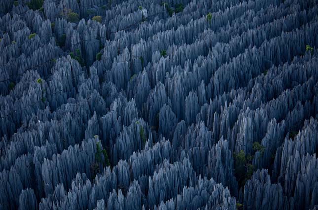 Tsingy de Bemaraha, Madagaszkár