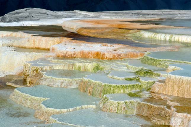 Minerva terasz, Yellowstone Nemzeti Park