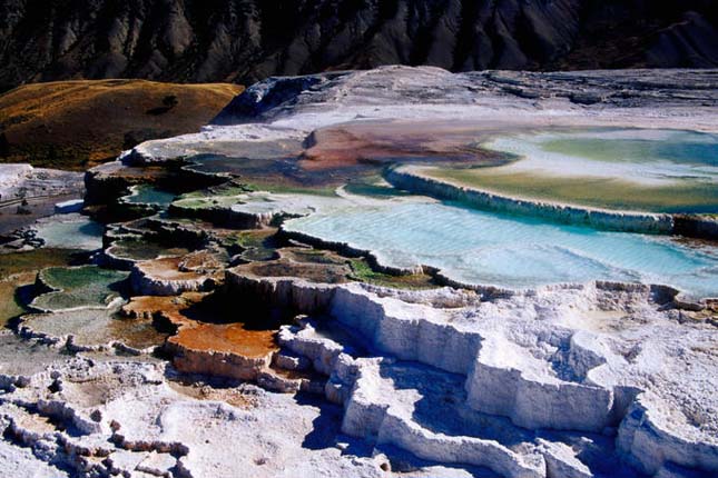 Minerva terasz, Yellowstone Nemzeti Park