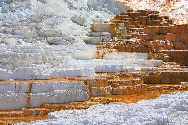 Minerva terasz, Yellowstone Nemzeti Park