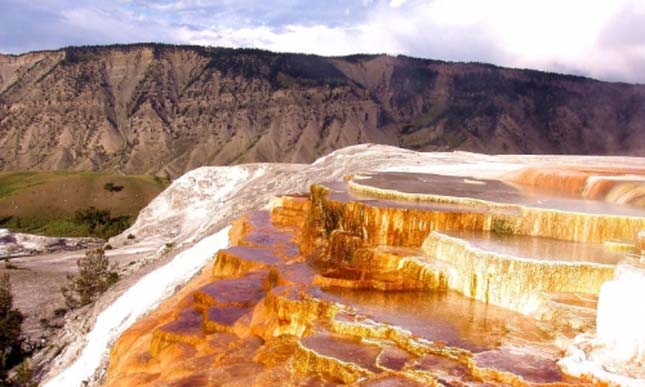 Minerva terasz, Yellowstone Nemzeti Park