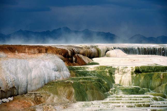 Minerva terasz, Yellowstone Nemzeti Park