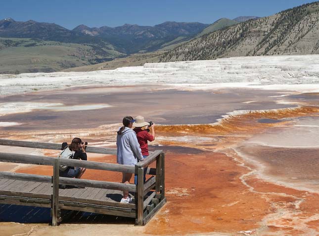 Minerva terasz, Yellowstone Nemzeti Park