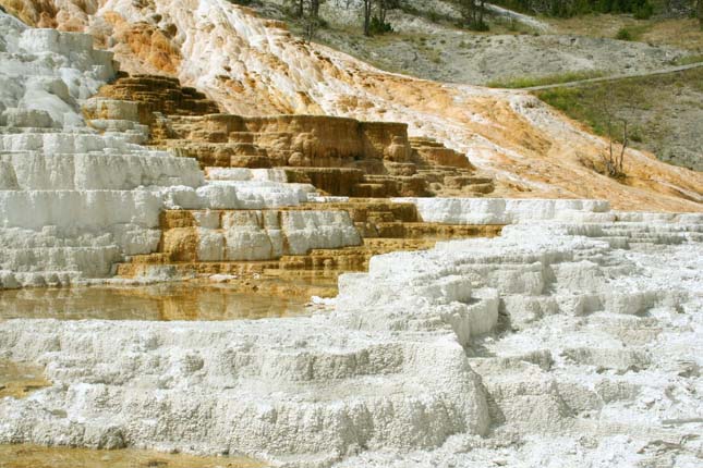 Minerva terasz, Yellowstone Nemzeti Park