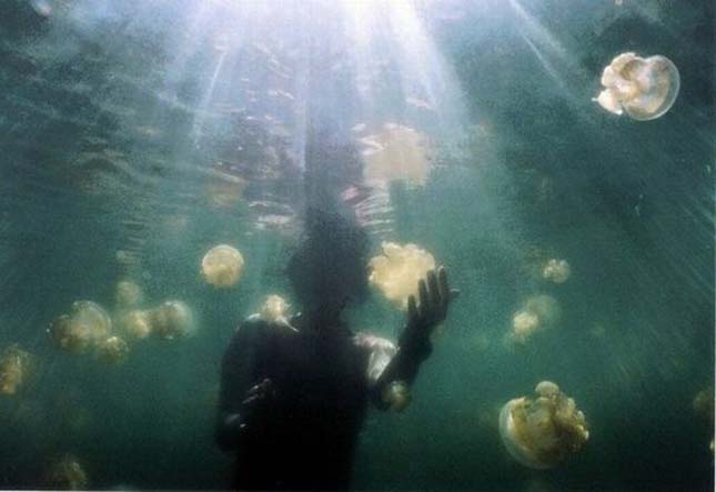 Medúza-tó