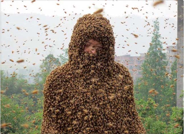 Méhészverseny, Kína