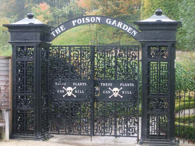 Alnwick Poison Garden, a világ legmérgezőbb kertje