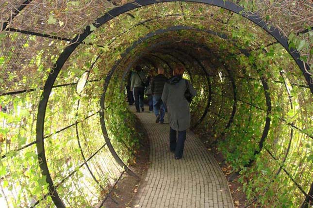 Alnwick Poison Garden, a világ legmérgezőbb kertje