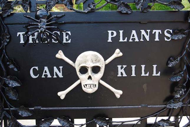 Alnwick Poison Garden, a világ legmérgezőbb kertje
