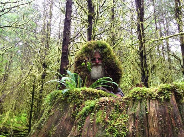 Mick Dodge