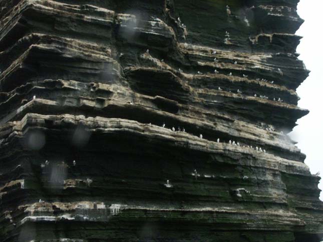 Moher sziklái, Írország