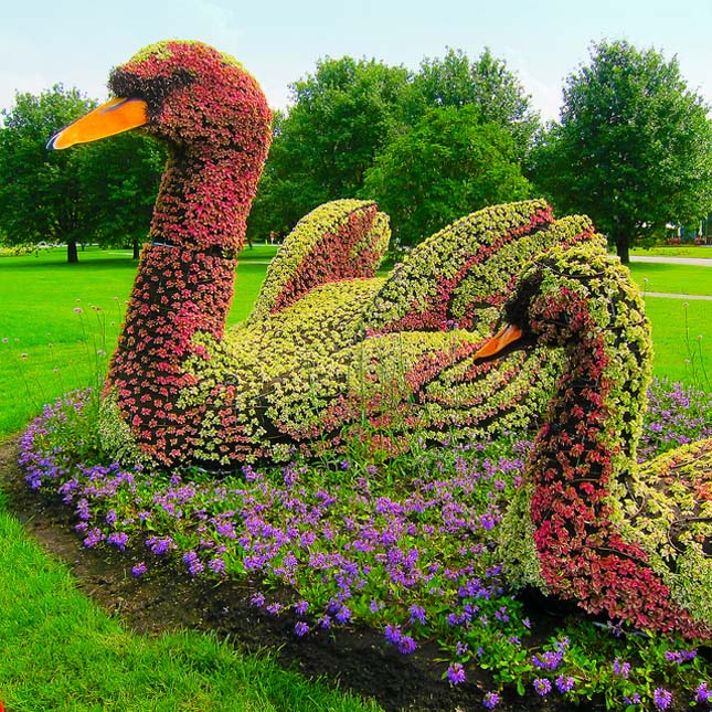 Mosaiculture