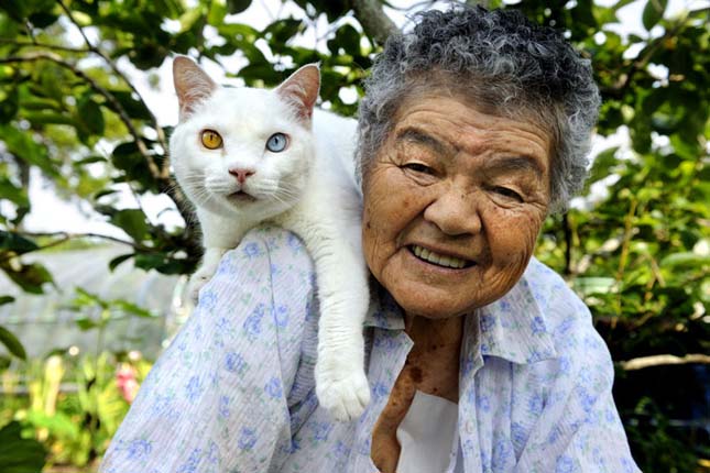Egy nagymama és cicája mindennapjai