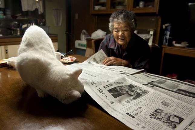 Egy nagymama és cicája mindennapjai