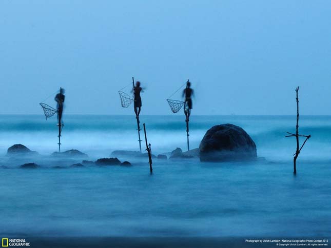 National Geographic fotóverseny