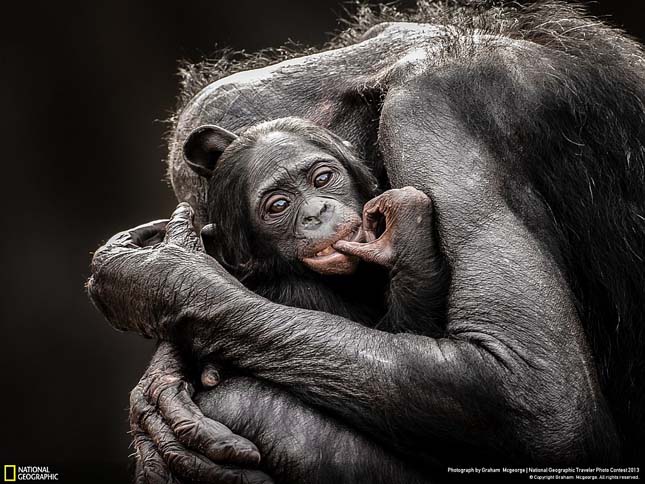 Nat Geo Traveler