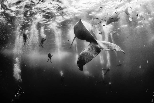 National Geographic Traveler Photo Contest 2015