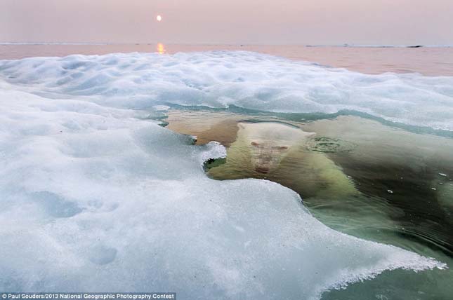 National Geographic Photo Contest 2013