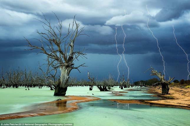 National Geographic Photo Contest 2013