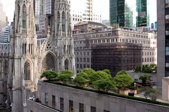 New York impozáns tetőtéri kertjei