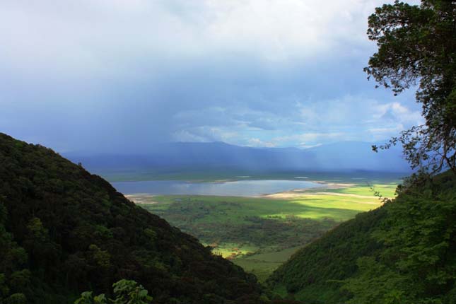 Ngorongoro kráter