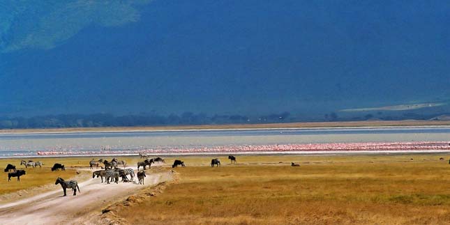 Ngorongoro kráter