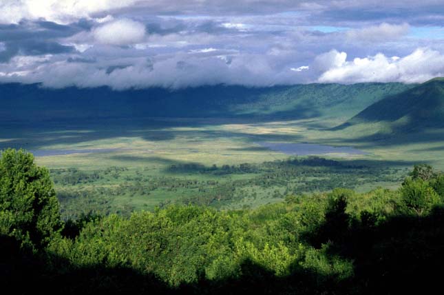 Ngorongoro kráter