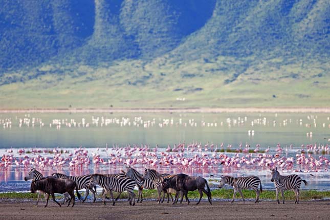 Ngorongoro kráter