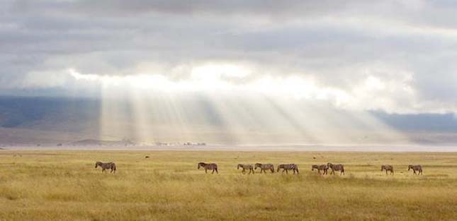 Ngorongoro kráter