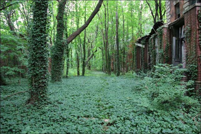 North Brother Island, kísérteties sziget