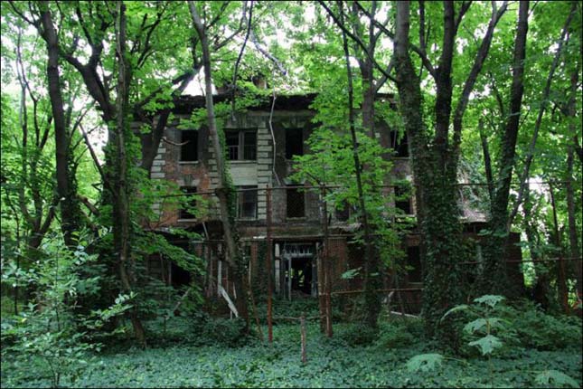 North Brother Island, kísérteties sziget