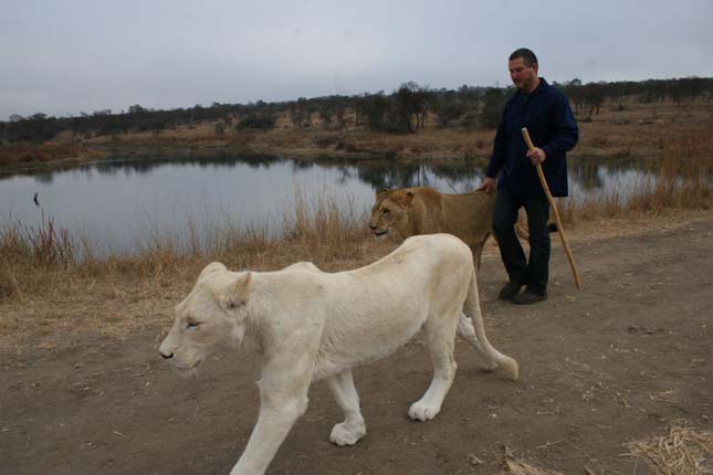 Protea Hotel Ranch Resort