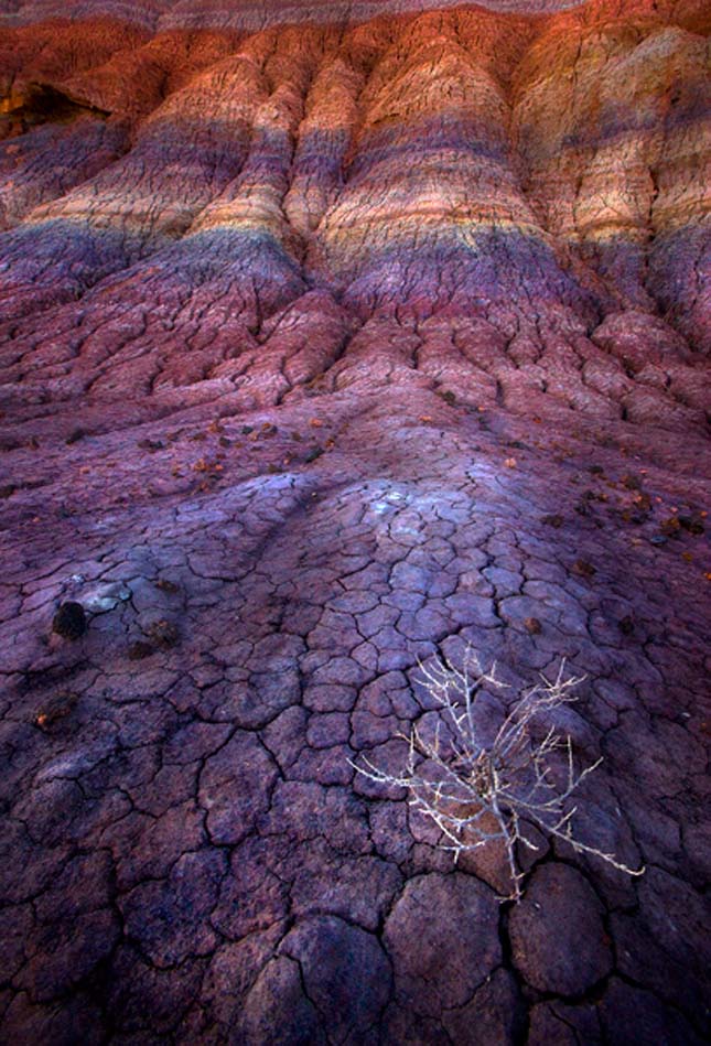 Painted Desert, Festett-sivatag