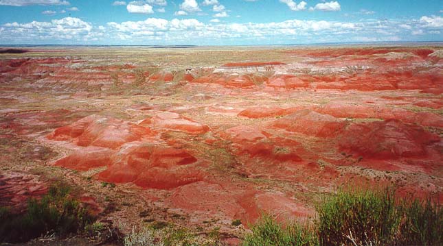 Painted Desert, Festett-sivatag