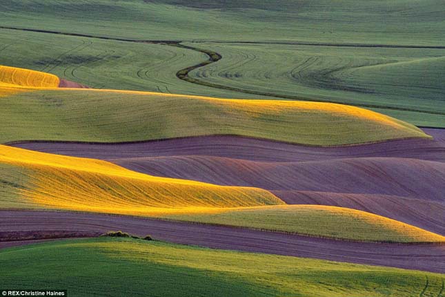 Palouse völgye