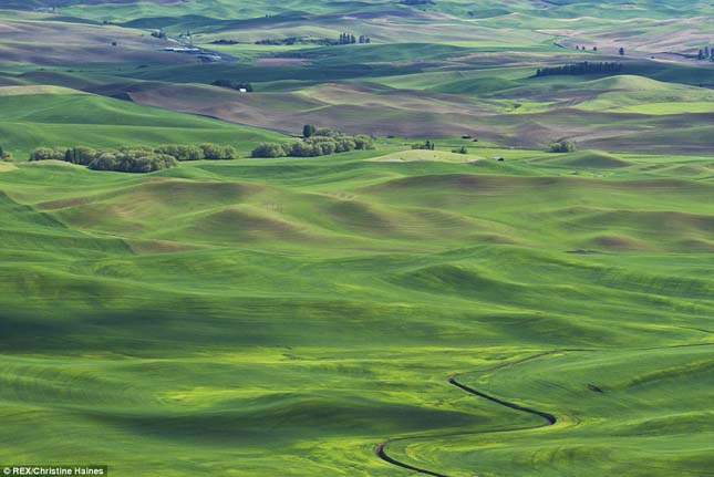 Palouse völgye