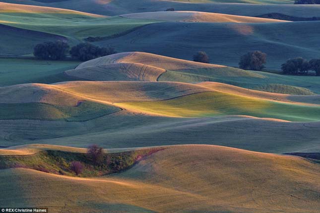 Palouse völgye