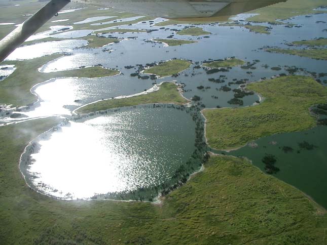 Pantanal