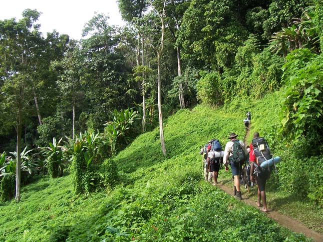 Pápua Új-Guinea