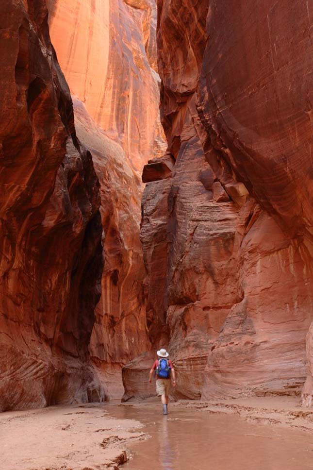 Paria Canyon, USA