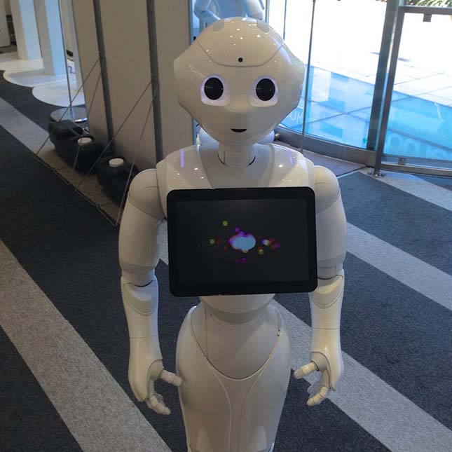 Pepper robot