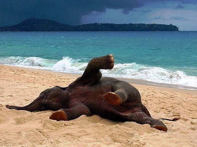 Phuket