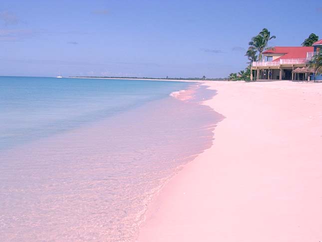 Pink Sands Beach