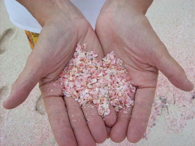 Pink Sands Beach