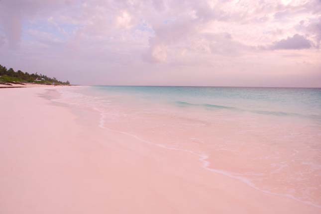 Pink Sands Beach