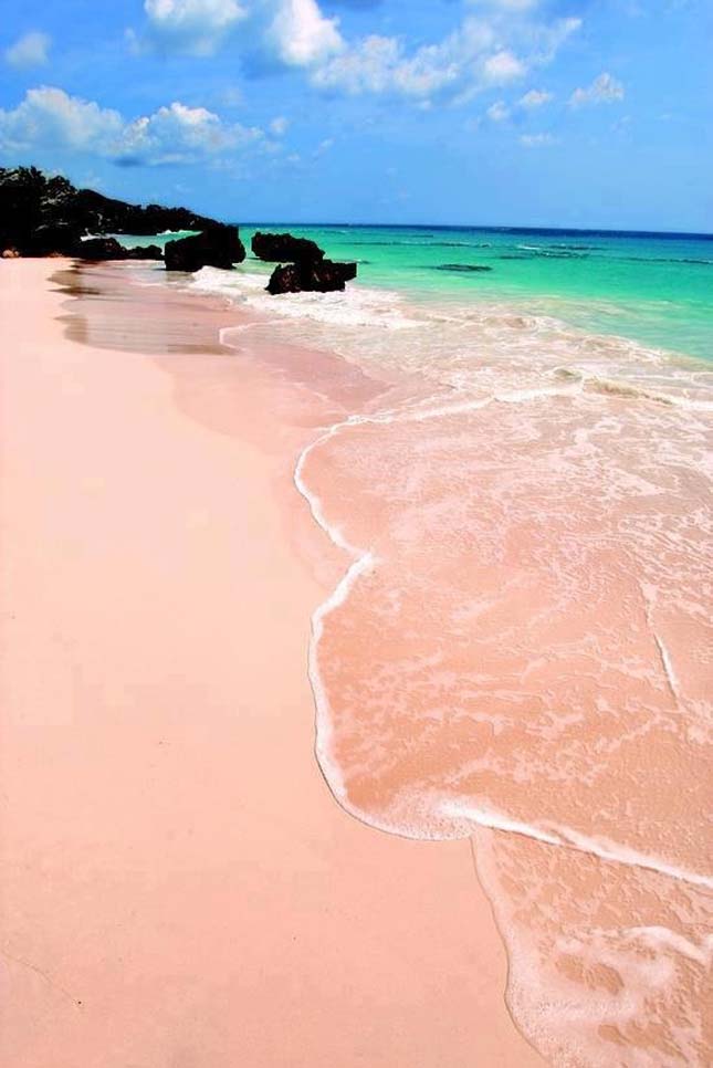 Pink Sands Beach