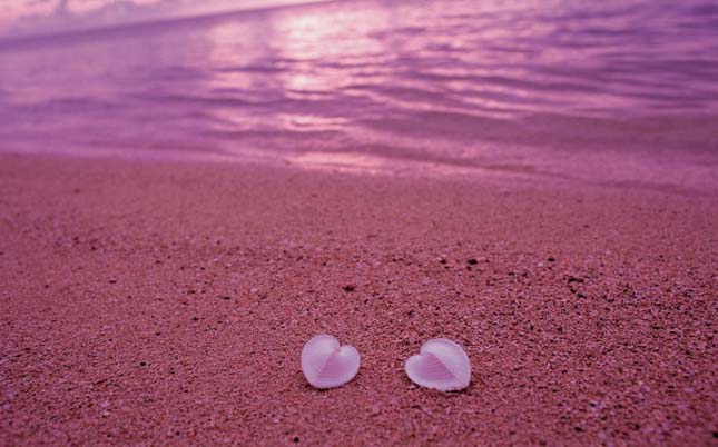 Pink Sands Beach