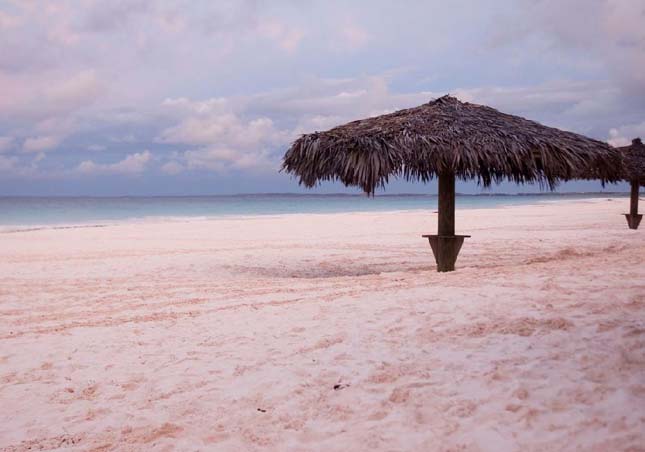 Pink Sands Beach