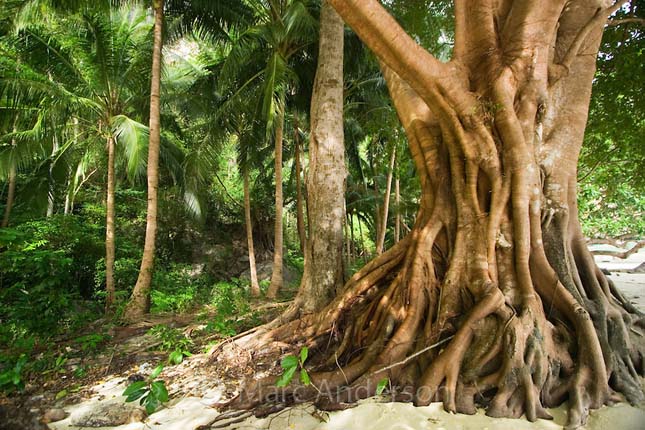 Puerto Princesa, Fülöp-szigetek